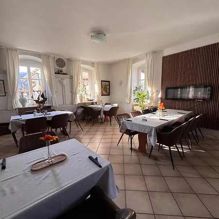 Gasthaus&pension Grüner Baum Pensión Eberbach (Rhein-Neckar-Kreis)