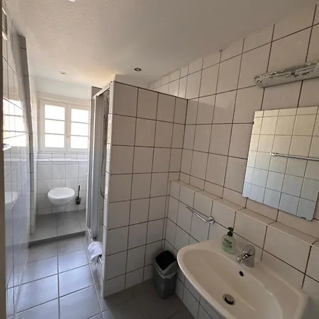 Gasthaus&pension Grüner Baum *